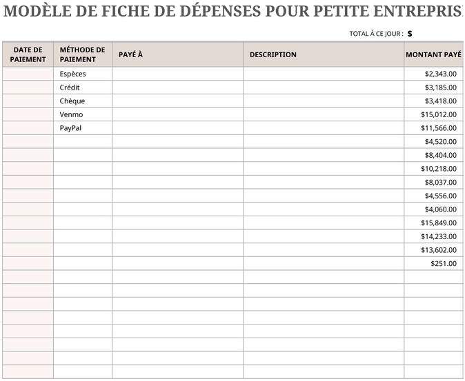modele-suivi-depenses-petites-entreprises