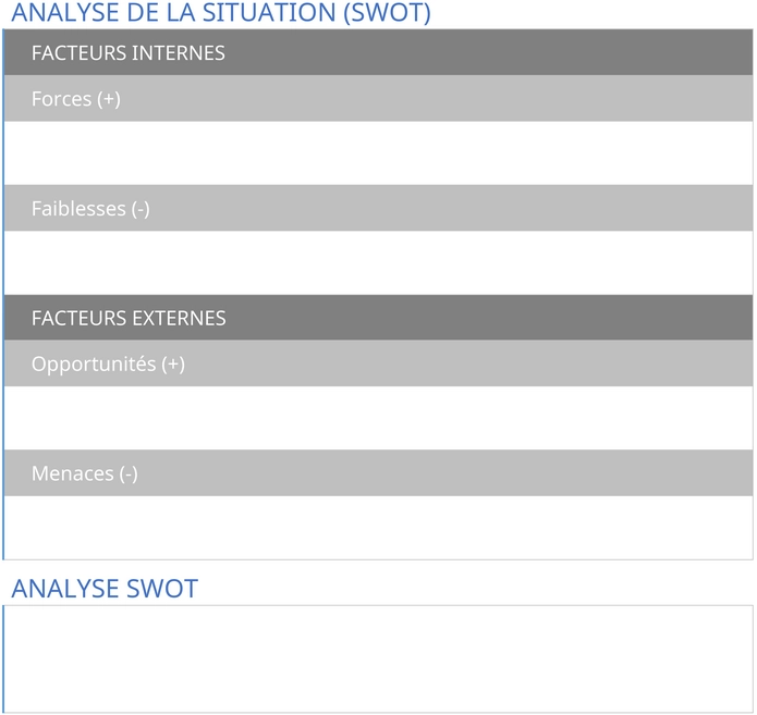 modele-vision-strategique-word-gestion-projet