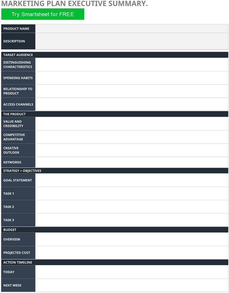 modele-word-resume-executif-plan-marketing
