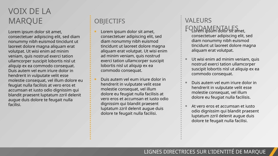 modeles-identite-de-marque-powerpoint