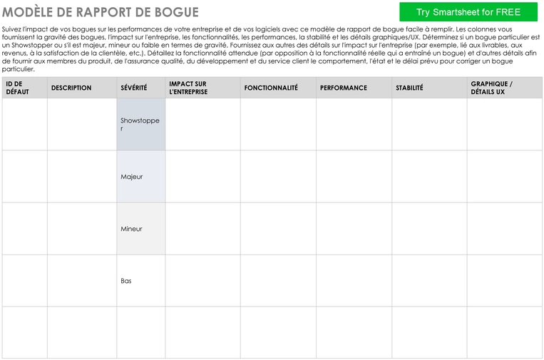 rapport-bogues-gestion-suivi-type
